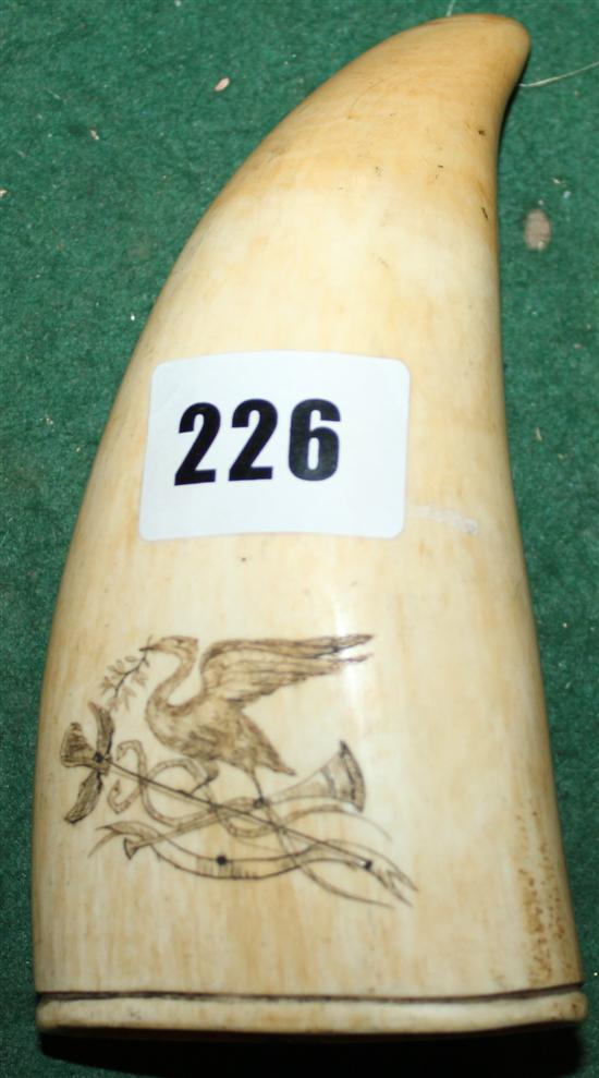 Scrimshaw whales tooth